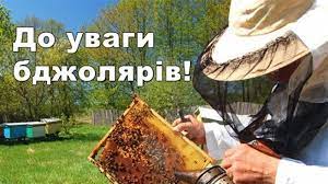 До уваги бджолярів: порядок реєстрації пасіки та видачі ветеринарно-санітарного паспорта пасіки