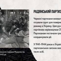 Презентацiя_ДСВ_compressed_(1)-12