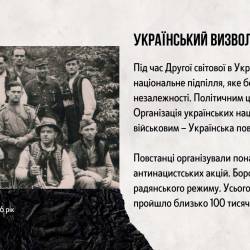 Презентацiя_ДСВ_compressed_(1)-11