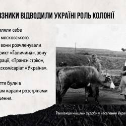 Презентацiя_ДСВ_compressed_(1)-5