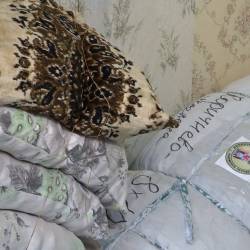 photo_2026-03-16_15-16-53