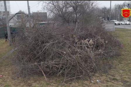 Створили стихійне сміттєзвалище просто на червоній лінії дороги