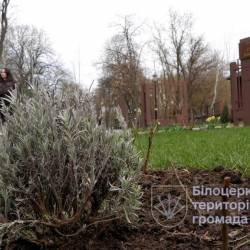 vlcsnap-2026-04-08-15h26m54s452