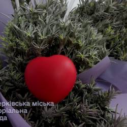 vlcsnap-2026-04-08-15h32m12s792