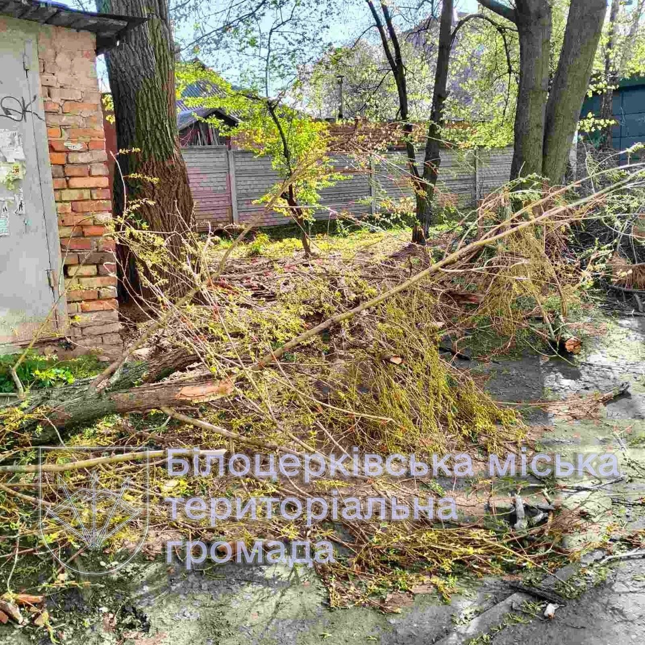 Про наслідки негоди