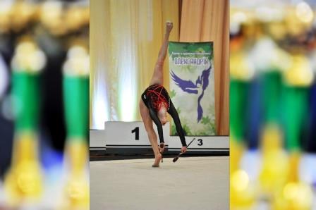 Відбувся Х відкритий Чемпіонат ДЮСШ «Юність» з гімнастики художньої «Олександрія» 