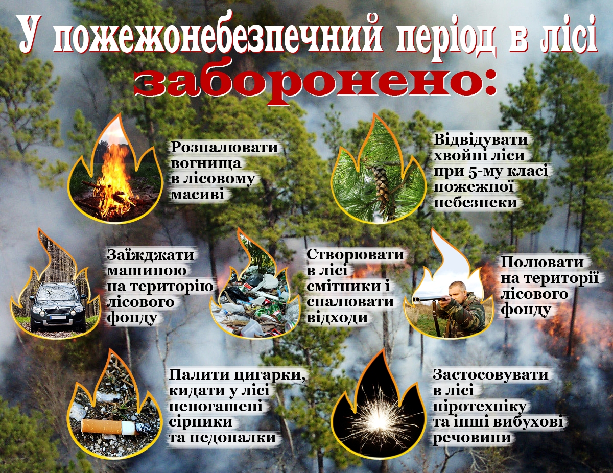 Рятувальники закликають громадян не допускати пожеж у природних екосистемах!