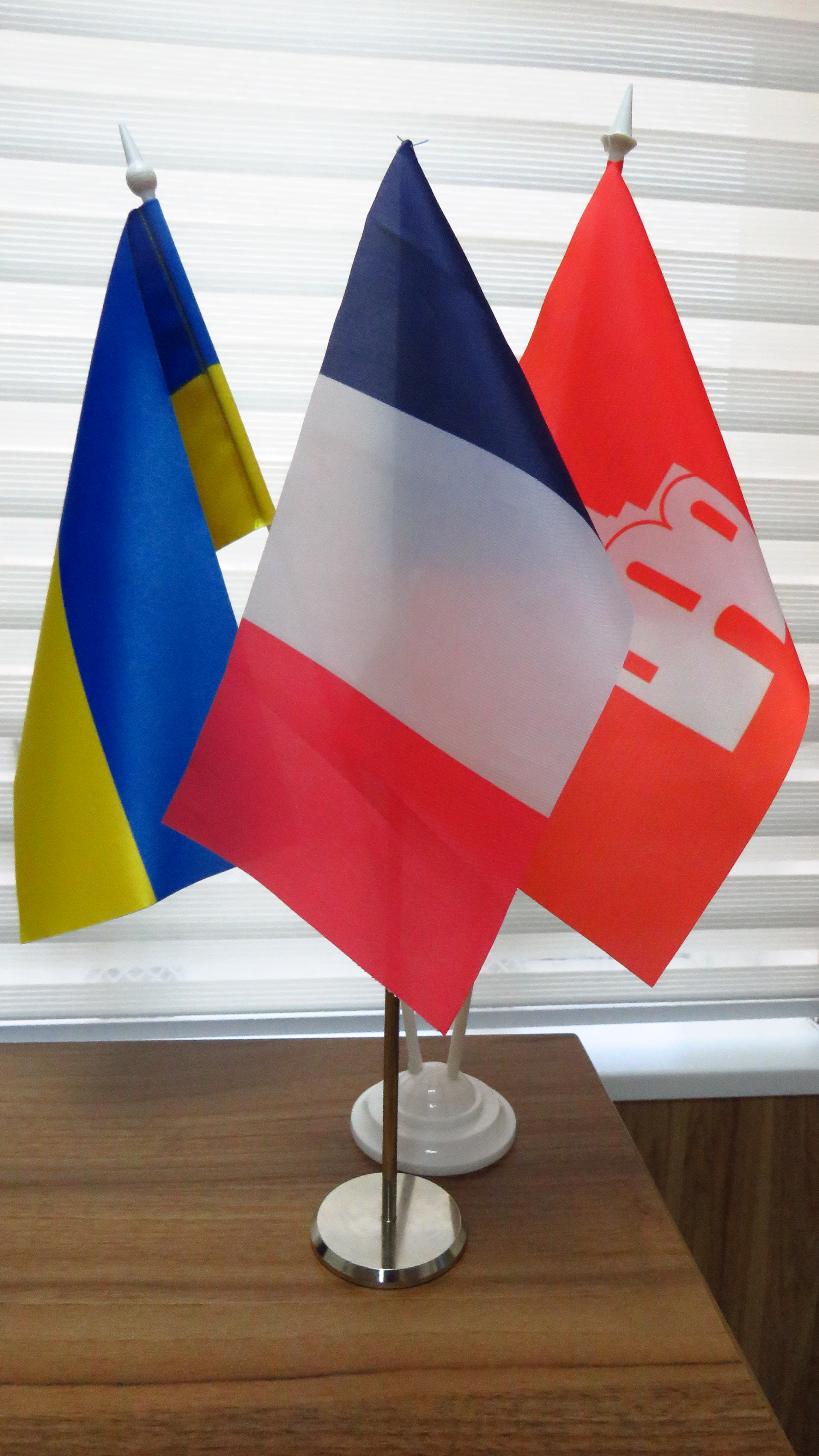 Пані  Ізабель Дюмон: «Знати англійську – це норма, основна база. Знати ще й французьку- це вже додатковий розвиток»